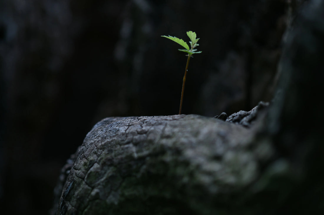 Building Your Personal “Survival Kit” for Tough Times