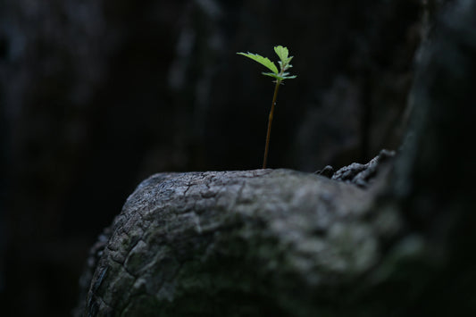 Building Your Personal “Survival Kit” for Tough Times