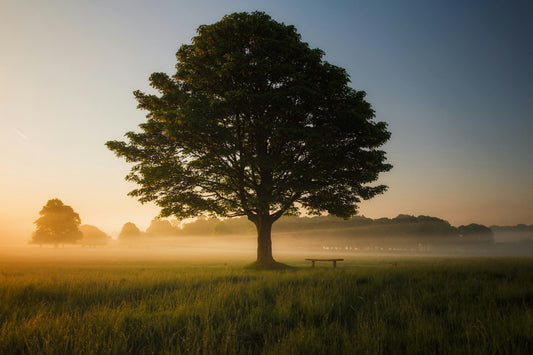 Reclaim Your Attention: Break Free from Scrolling Today